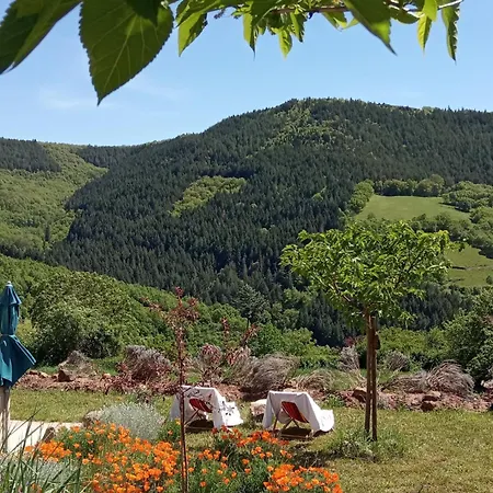 La Des Raspes - Sejour - Adult Only