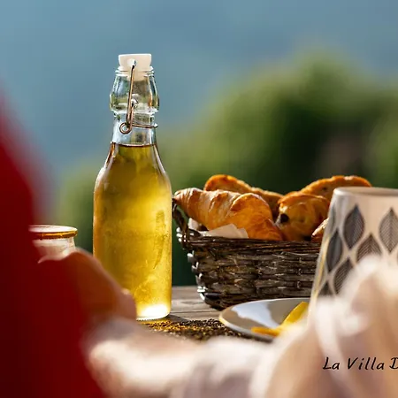 La Des Raspes - Sejour - Adult Only 3* Viala-du-Tarn