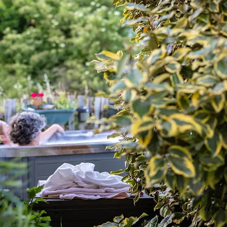 La Des Raspes - - Adult Only Couette-café