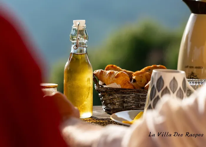 La Des Raspes - Sejour - Adult Only 3* Viala-du-Tarn